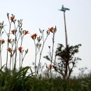 바람개비 이미지