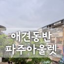 신세계사이먼파주점 | 파주 프리미엄 아울렛(신세계) 애견동반 후기 | 애견동반 5월 쇼핑 꿀팁+행사 총정리