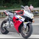 5년 노하우로 본 노령 r 거르기 이미지