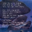 민들레여행 이미지