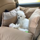 팰리스1470 이미지