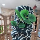 미보자기
