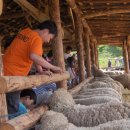 구산목장 이미지