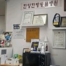 정겨운한의원 | 한양한방동물병원 침 맞고 뜸 뜨는 인천 반려동물 한의원