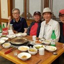 신촌형제갈비 Daum카페