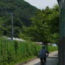 낙동강자전거길 이미지