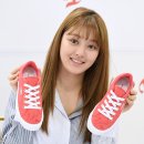 사인리더