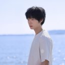 하현상 카카오 검색결과