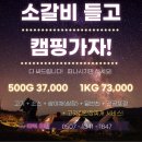 대구 달서구 서부정류장 맛집 양념소갈비 전문점 달콤정육