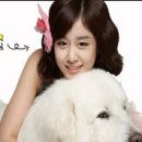 몽글몽글 이미지