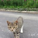 바다배 펜션 이미지