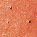 경희자연담한의원 이미지