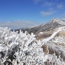 은빛축산 이미지