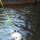 탐스럽개 이미지