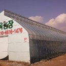 부영다육농장 이미지