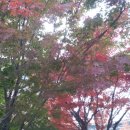 속초시청소년수련관 이미지