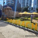 탄스비치 이미지