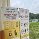 개리비안베이 이미지