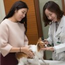 KU건국동물병원 이미지