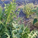 오케이세차장 이미지