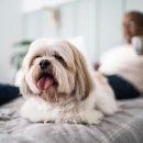 민락동물병원 이미지