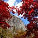 강천산군립공원(강천사) | 가을단풍 추천 강천산군립공원 ㅣ강천사단풍