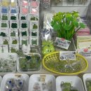 청주중앙여자고등학교 | 청주소품샵추천 사창동 담솜 키링맛집 아기자기 소품 구경 후기