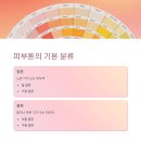 컬러콕