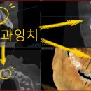 주안연세의원 이미지