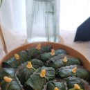 써니델리 이미지