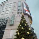 (주)인포게이트 | 💍W3. 웨딩밴드 까르띠에 방돔루이 | 롯데백화점 명동 본점 | 주말 오픈런 성공후기💫 [가격/꿀팁]