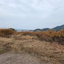 더채움 행정사사무소 | 구미탄원서작성 열린행정사 사무소와 함께한 후기를 나눕니다