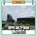 평택 대형 애견카페 천연잔디 강아지 운동장 있는 브런치맛집 둘리펫츠 방문 후기
