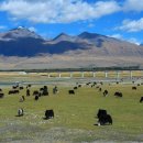 지열목장 이미지