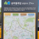 별찌소곱창 이미지