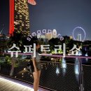 [슈퍼클래식]  싱가포르 차이니즈 오케스트라 | 싱가포르 슈퍼트리쇼 후기｜가든스바이더베이 가든랩소디Garden Rhapsody +관람 꿀팁, 포토스팟