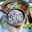 당진 왜목마을태공수산횟집 애견동반 식당 현지인 맛집