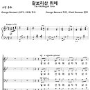 갈보리산 위에 / 갈보리산 위에 십자가 섰으니 (Patti Drennan, 유빌라테) [유빌라테 21집] 이미지