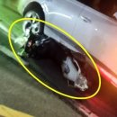 170.경찰서앞_2 이미지