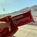 러미 | 일본 겨울 한정 초콜릿 후기｜롯데 러미(Rummy) 럼 레이즌, 알코올향 진한 어른 초콜릿