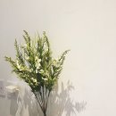 [생애주기 맞춤형] 나를 찾는 힐링 도예수업 | [마포 꽃꽂이] 상암동 바베리플라워 원데이 클래스 💐 생애 첫 화병꽂이 후기