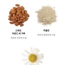 신척산단4로 | [LUSH 러쉬 허벌리즘] 매일매일 각질제거 아침세안제/러쉬클렌저 - 내돈내산후기