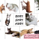 여울목장 이미지