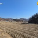 백곡진천공인중개사사무소 네이버블로그