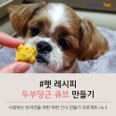 더펫레시피 이미지
