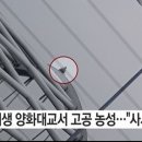 양화 이미지
