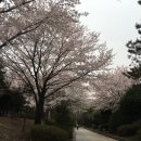 신트리공원 농구장 이미지