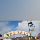 잉꼬가든 이미지