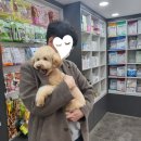 이수보습학원