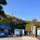 호연이네 식당 | 부산여행 43번버스타고 민주공원겹벚꽃 보러가기(feat. 43번버스, 초량시장 참치정육점, 호연만두)